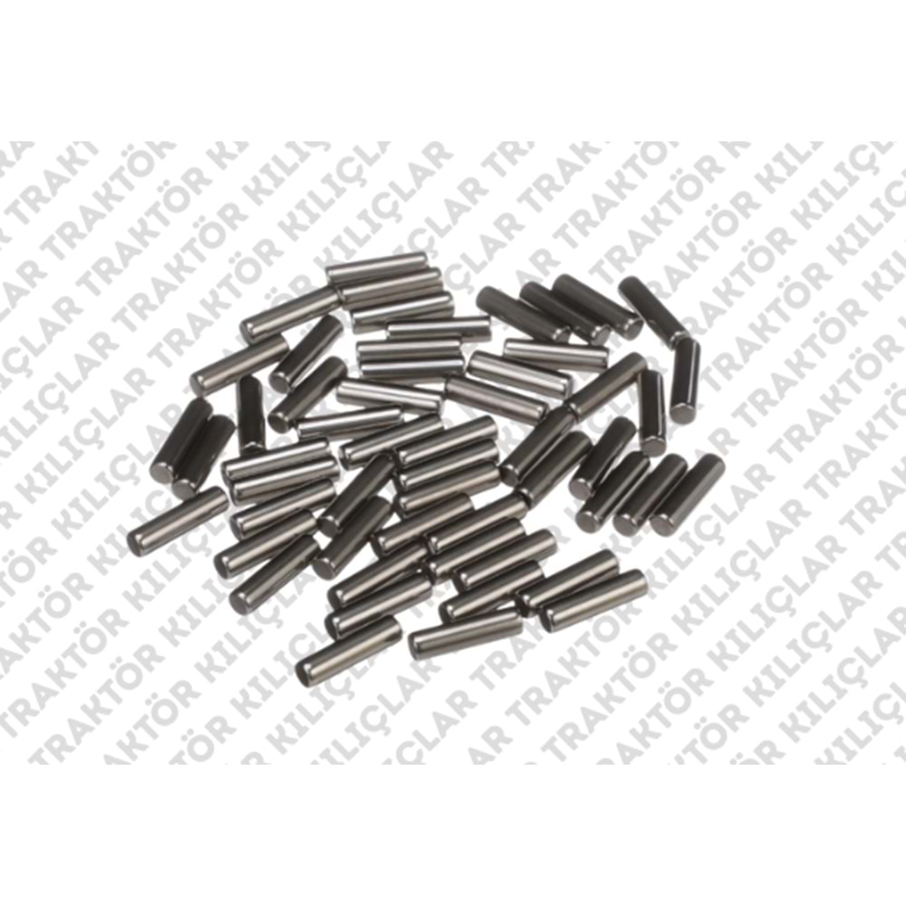 ROLLER BEARING (T6000 ARKA AKS KOZA DİŞLİ DİZME BİLYA)