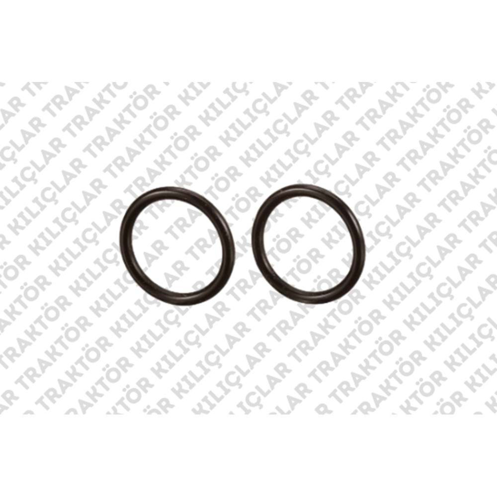 O-RING