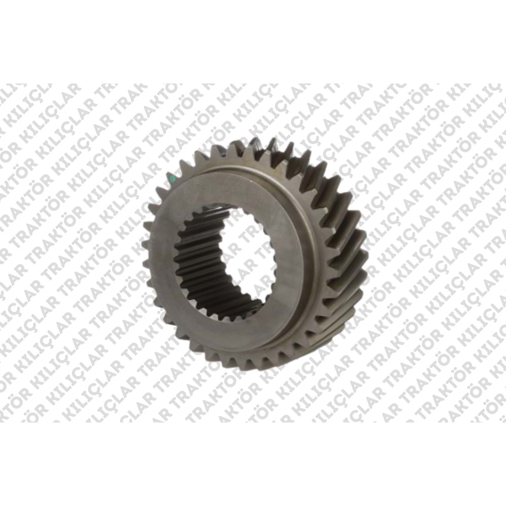 DİŞLİ (ESKİ NO: 87557567)