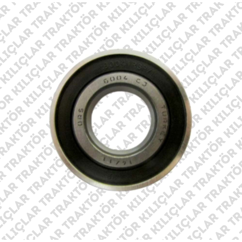 RULMAN (6004)