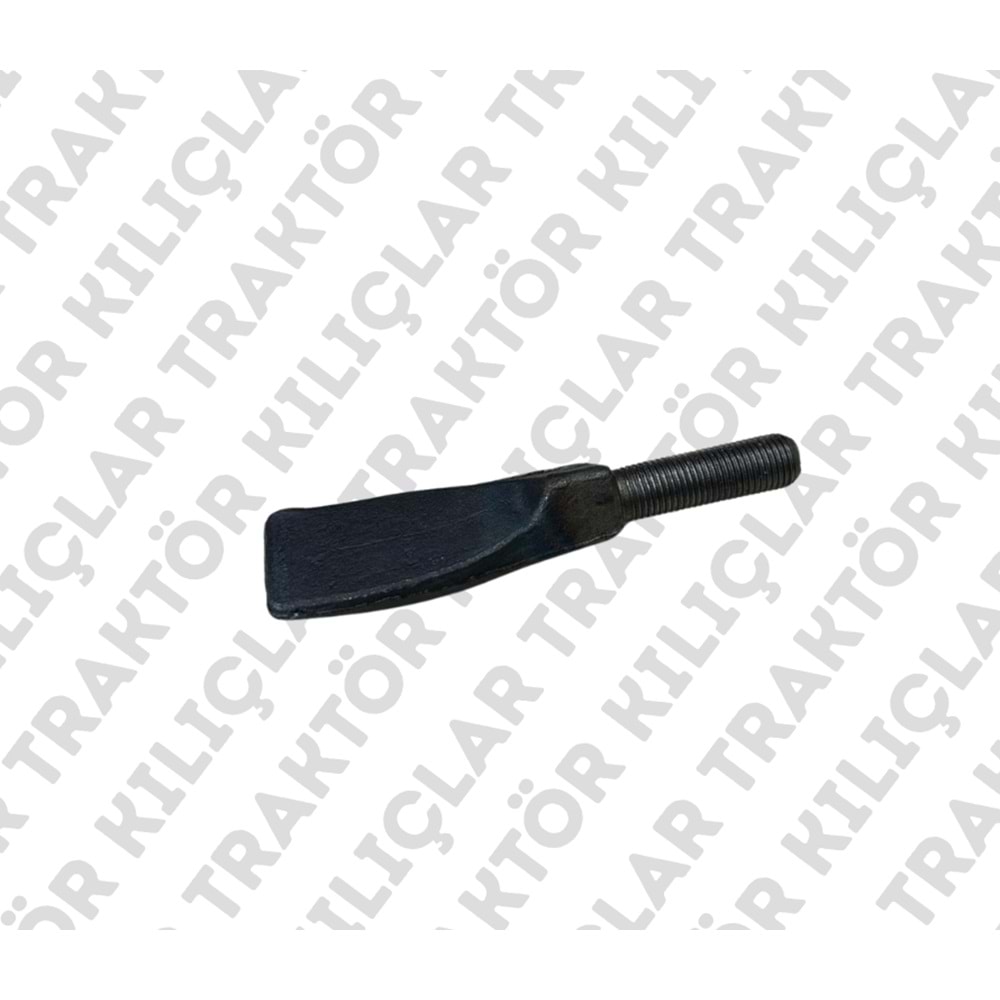 ÇELTİK DİŞİ LVD (LAVERDA ÇELTK DİŞİ)