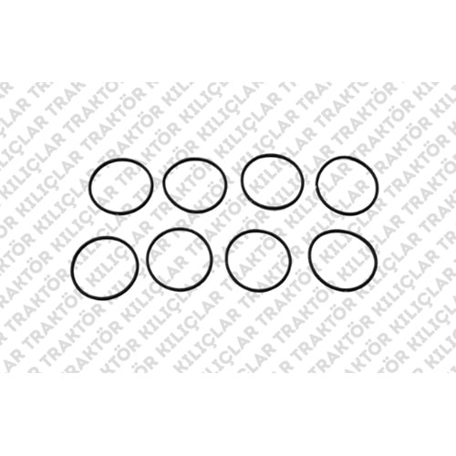 O-RING(AYNA MAHRUTİ LASTİĞİ ÖN DİFRANSİYEL-TD SERİ)