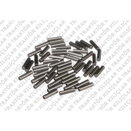 ROLLER BEARING (T6000 ARKA AKS KOZA DİŞLİ DİZME BİLYA)