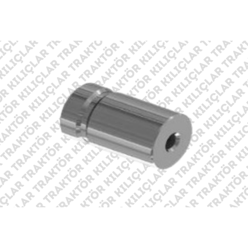 BÜYÜK ŞANZIMAN ÇATAL PİMİ