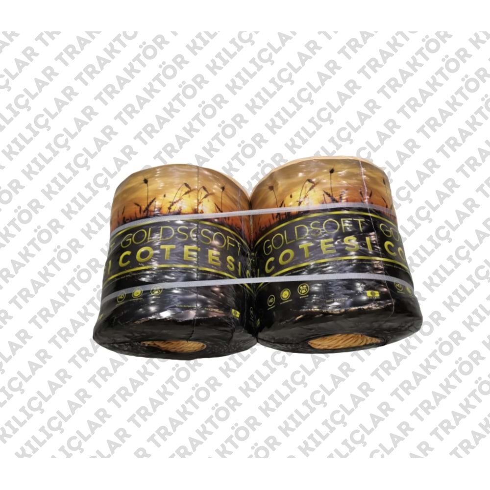 BALYA İPİ-GOLD (2x10 KG) (SARI)