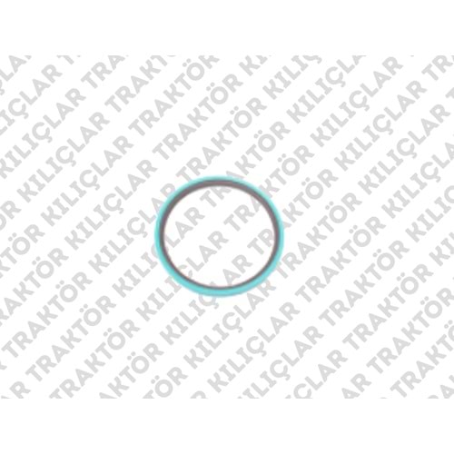 O-RING (TD ÇİFTÇEKER MİLİ ÜZERİNDEKİ TEFLON)