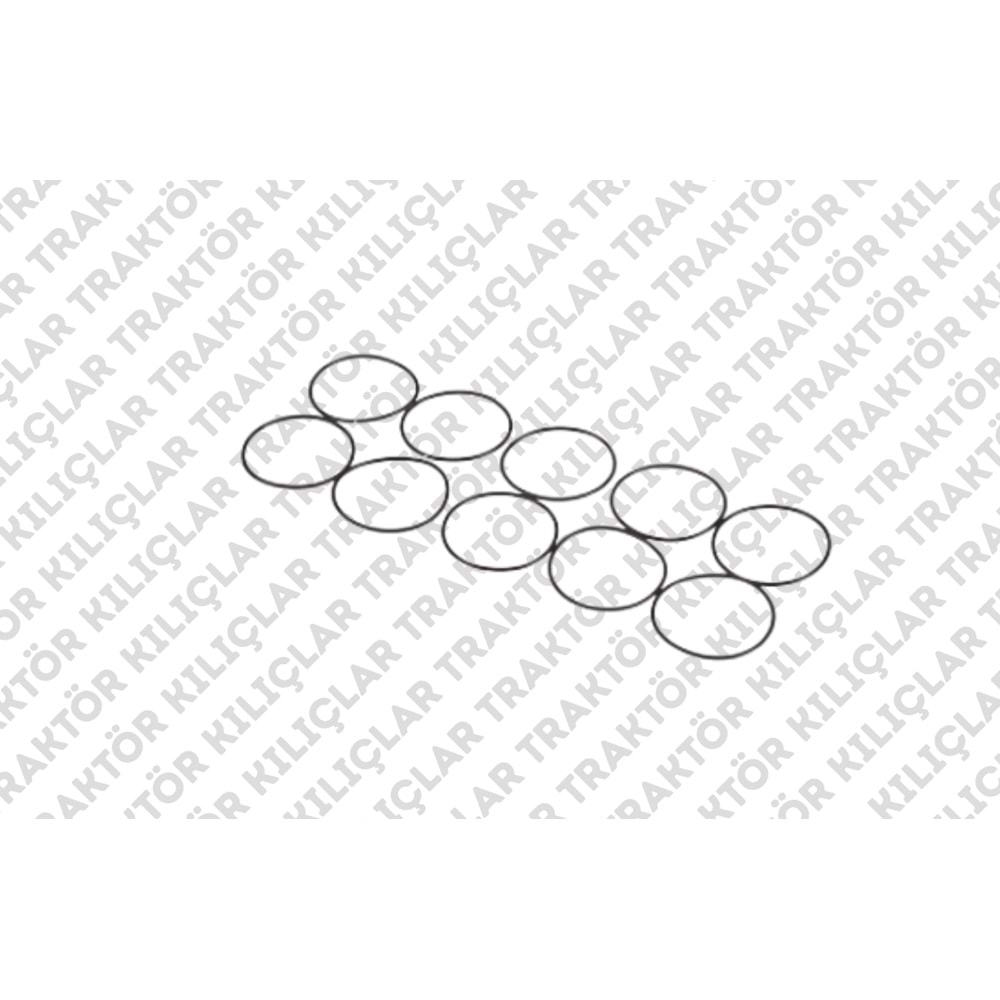 O-RING (İTHAL ÜST PRİZDİREK ORİNGİ - 2,62 X53,67)