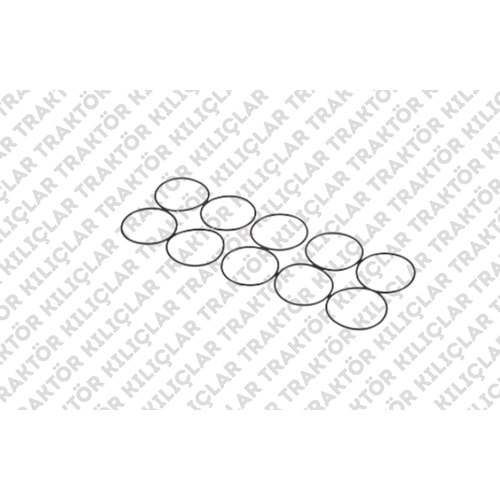 O-RING (İTHAL ÜST PRİZDİREK ORİNGİ - 2,62 X53,67)